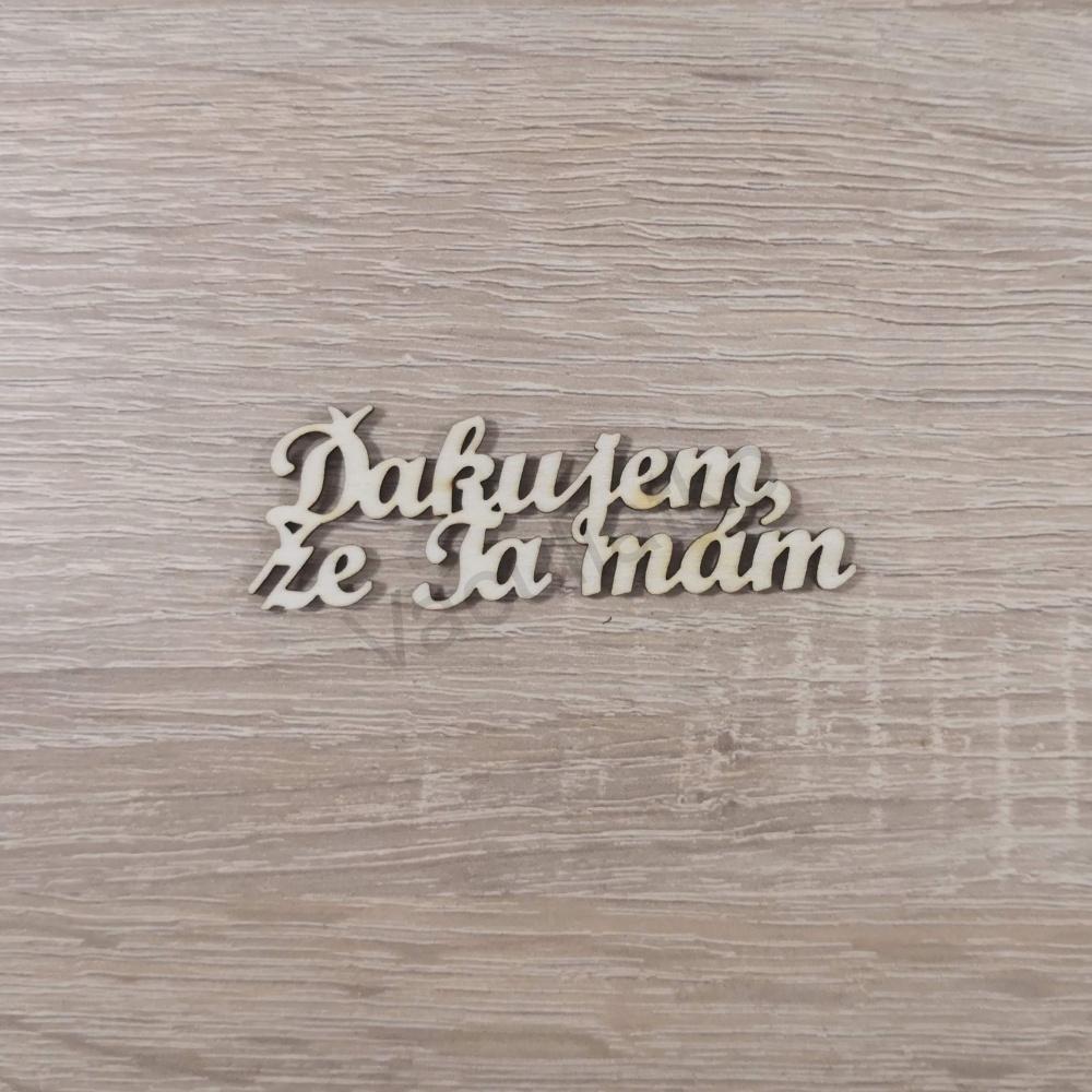 Nápis - Ďakujem, že Ťa mám 77x25mm